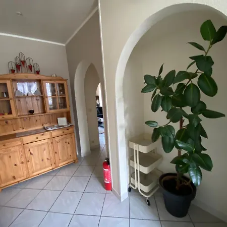 Mosane La Plante Daire *