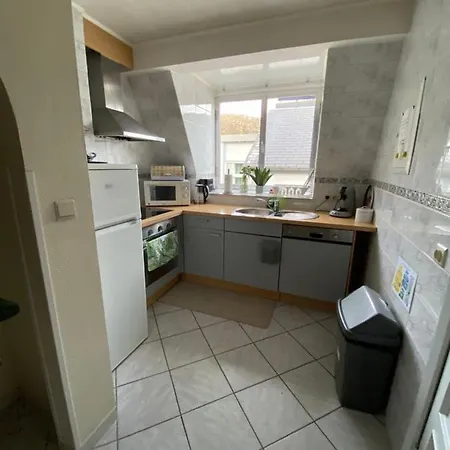 Mosane La Plante Daire Namur