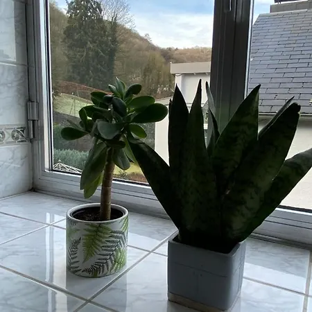 Daire Mosane La Plante Namur