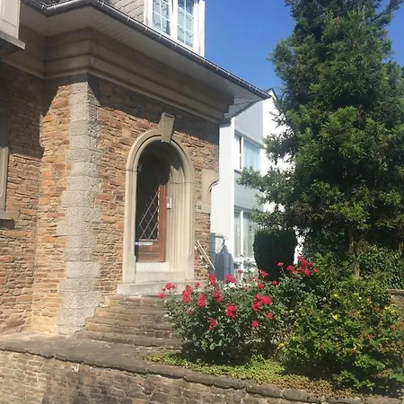 Mosane La Plante Daire Namur