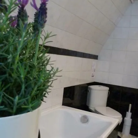Mosane La Plante Daire Namur